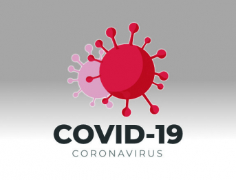 Secció Covid-19 a la web