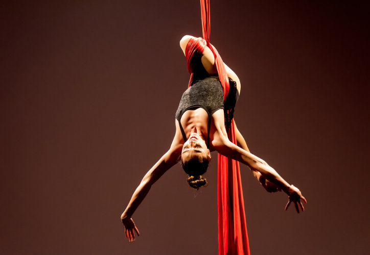 Expressió Circ Dansa