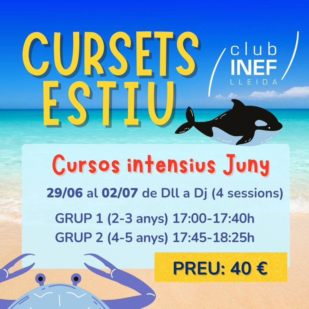Cursos d'estiu